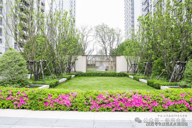 楼处电话中企云萃森林热线-楼盘评测球王会app上海浦东中企云萃森林售(图22)